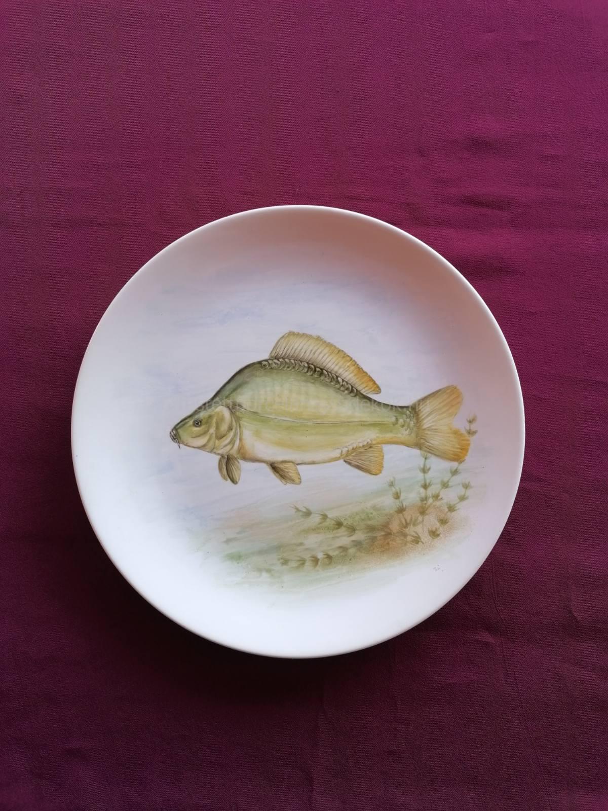 Halas készlet - Image 4