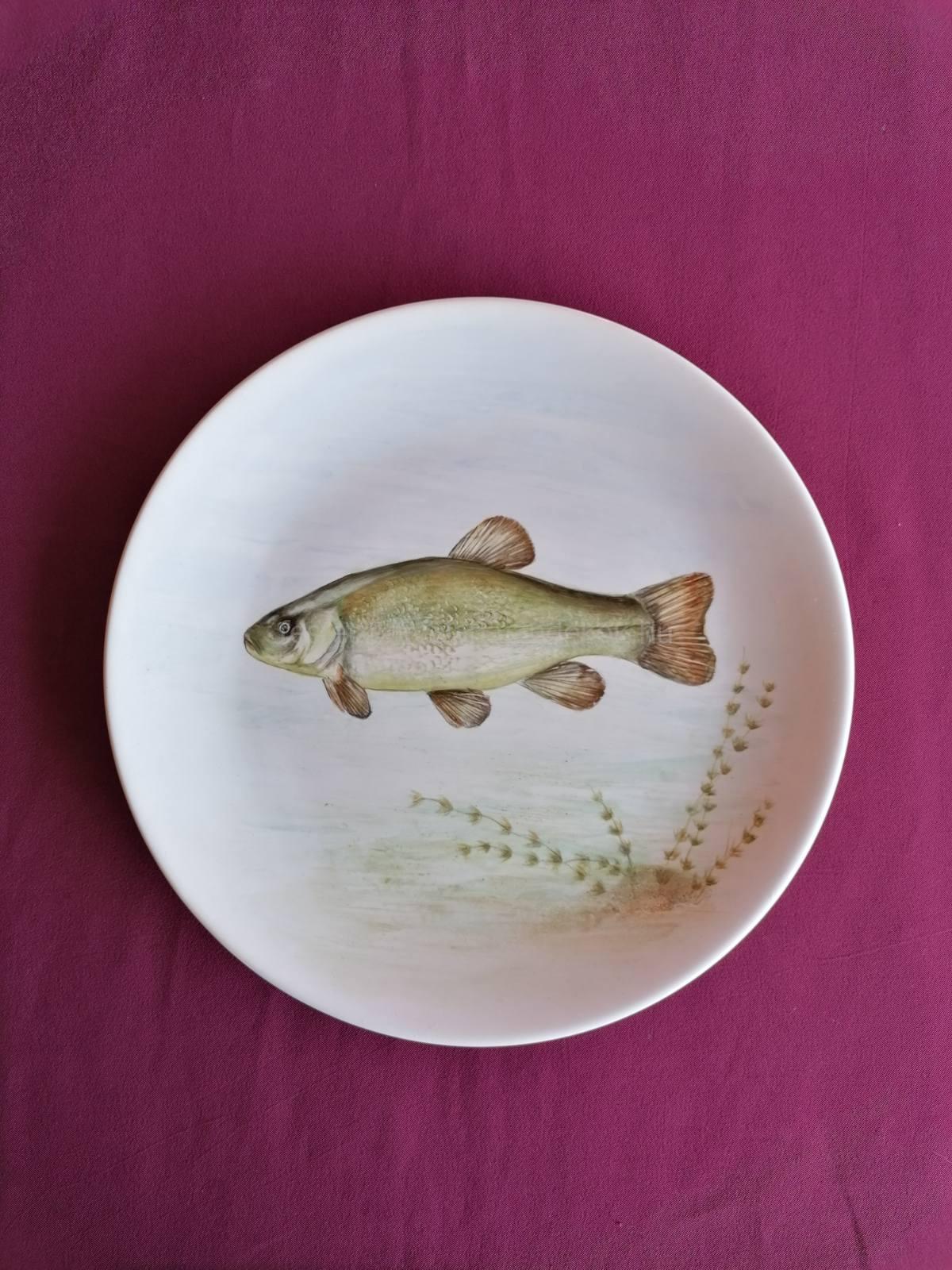 Halas készlet - Image 8